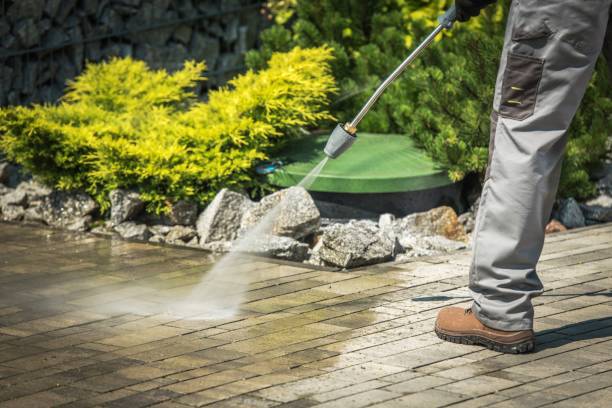Best Sidewalk and Walkway Cleaning  in Edwards, MS